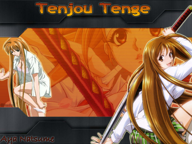 Обои картинки фото аниме, tenjou, tenge