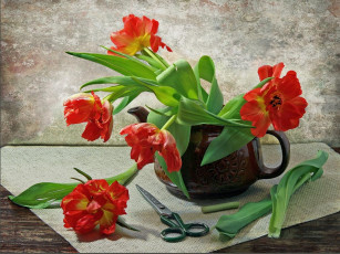обоя irina, kotlova, натюрморт, тюльпанами, ножницами, цветы, тюльпаны