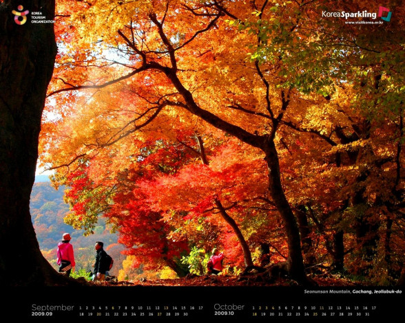 Обои картинки фото календари, природа