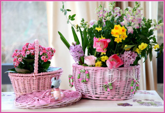 Картинка цветы разные вместе корзины гиацинт каланхоэ мышонок тюльпаны нарциссы