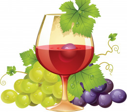 Картинка векторная+графика еда лоза виноград бокал листья