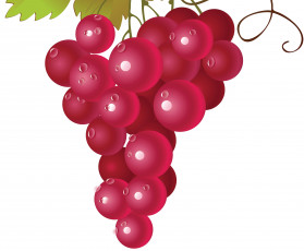 Картинка векторная+графика еда лоза виноград листья