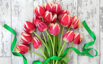 Картинка цветы тюльпаны лента