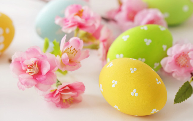 Обои картинки фото праздничные, пасха, flowers, eggs, easter, яйца, цветы, delicate