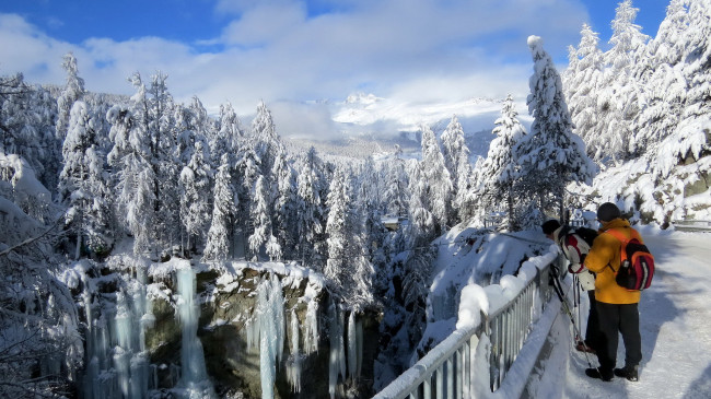 Обои картинки фото природа, зима, лед, снег, горы, лес