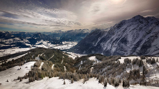 Обои картинки фото природа, горы, снег, пейзаж, сосны