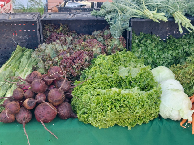 Обои картинки фото еда, овощи, капуста, зеленый, салат, свекла