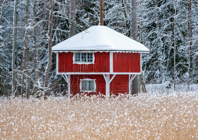 Обои картинки фото города, - здания,  дома, лес, дом, жилой, зима, снег
