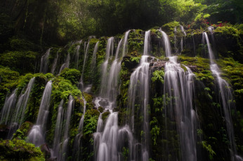 Картинка природа водопады лес скалы листва водопад каскад