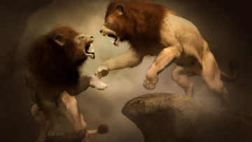 Картинка 3д графика animals животные львы
