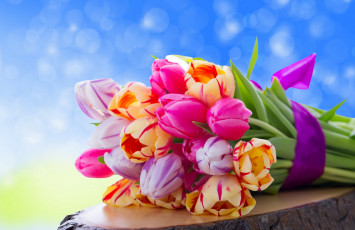 Картинка цветы тюльпаны букет пень бутоны