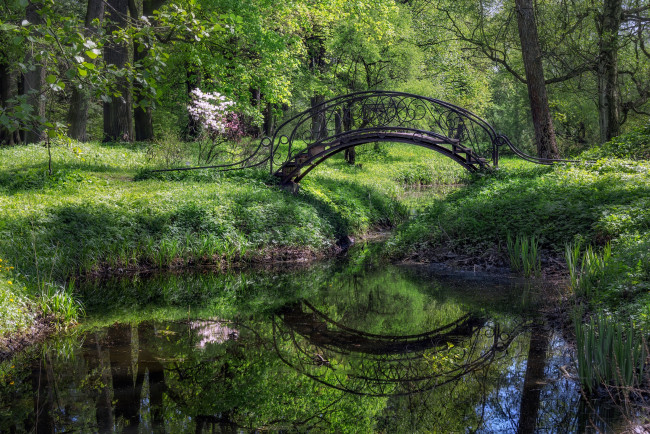 Обои картинки фото природа, парк, зелень, мост