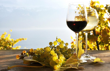 Картинка еда напитки белое красное вино бокалы виноград