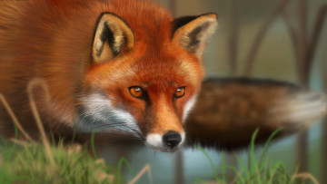 Картинка рисованное животные лиса рыжая морда хищник плутовка