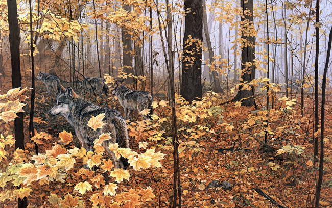 Обои картинки фото рисованное, животные, волки, стая, лес, осень, листва, хищники