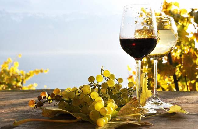 Обои картинки фото еда, напитки, белое, красное, вино, бокалы, виноград