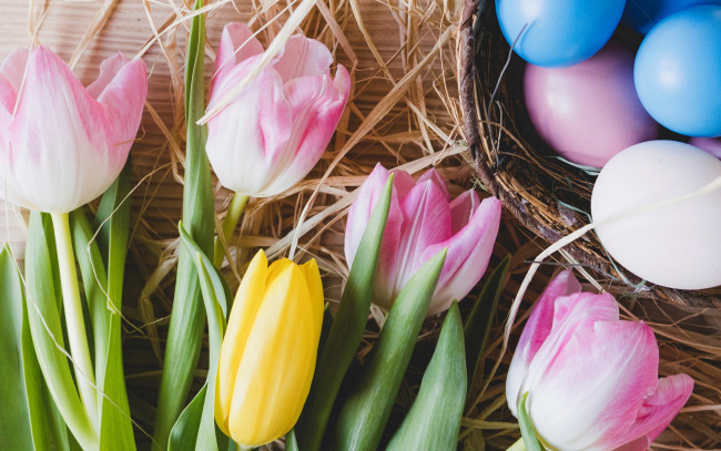 Обои картинки фото праздничные, пасха, pink, тюльпаны, tulips, tender, spring, easter, decoration, розовые, весна, flowers, happy, цветы, eggs, яйца, крашеные