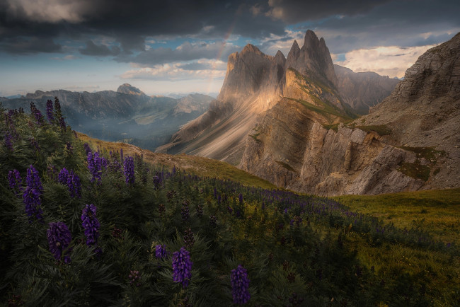 Обои картинки фото природа, горы, альпы, радуга, цветы