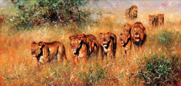 Картинка рисованное eric+forlee львы прайд саванна
