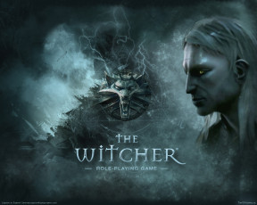 Картинка the witcher видео игры