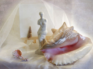 Картинка разное ракушки кораллы декоративные spa камни статуэтка