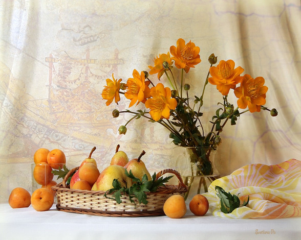 Обои картинки фото еда, натюрморт, оранжевый, абрикосы, груши