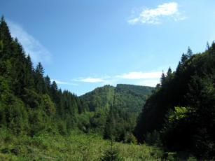 Картинка природа лес украина львовская область гора менчилик