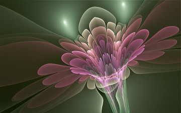 Картинка 3д графика flowers цветы лепестки
