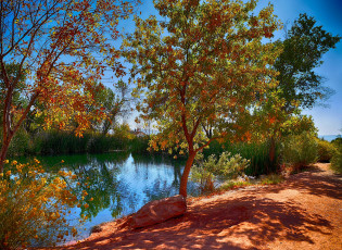 Картинка природа реки озера небо пруд деревья дорога