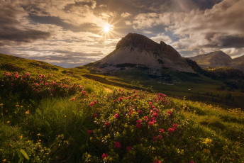 Картинка природа восходы закаты трава цветы облака небо солнце альпы горы италия