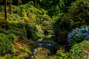 Картинка bodnant+gardens+++великобритания природа парк gardens wales великобритания река мостик кусты деревья