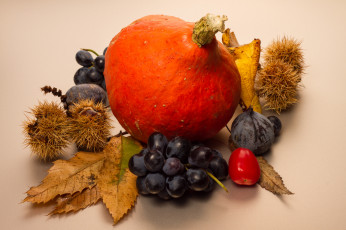 Картинка еда фрукты+и+овощи+вместе листья осень ягоды фон тыква