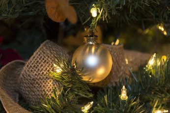 Картинка новогодний+шарик праздничные -+разное+ новый+год шарик гирлянда лампочки