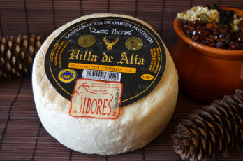 Картинка ibores еда сырные+изделия сыр