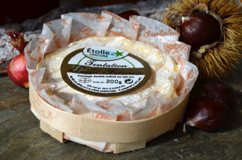 Картинка saint-felicien еда сырные+изделия сыр