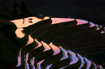 Картинка природа поля китай холмы вечер