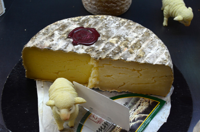 Обои картинки фото tienda de quesos franceses, еда, сырные изделия, сыр