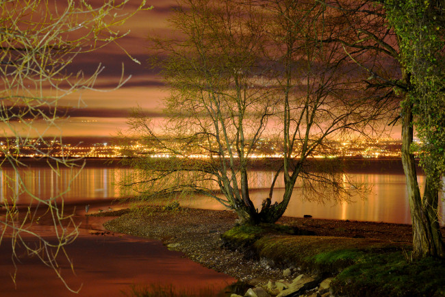 Обои картинки фото природа, реки, озера, ночь, небо, деревья