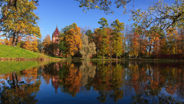 Картинка природа реки озера пушкин осень деревья озеро россия