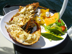 Картинка еда рыбные+блюда +с+морепродуктами лобстер