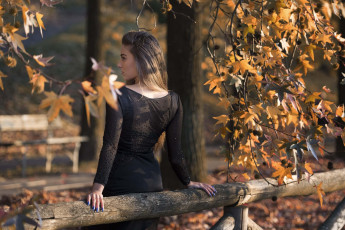 Картинка девушки -unsort+ блондинки +светловолосые парк деревья осень federica скамейка ограда