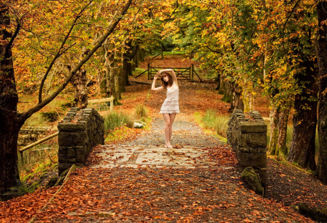 Обои картинки фото девушки, -unsort , рыжеволосые и другие, листопад, листья, деревья, осень, платье, рыжая, мост