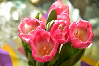 Картинка цветы тюльпаны розовые бутоны