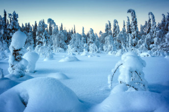 обоя природа, зима, снег, сугробы