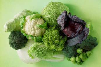 Картинка еда капуста+и+её+разновидности савойская брюссельская цветная капуста брокколи романеско