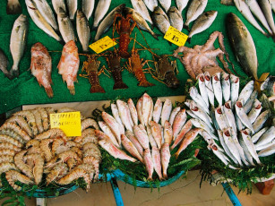 Картинка стамбул еда рыба морепродукты суши роллы