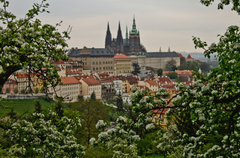 Картинка prague czech republic города прага Чехия здания деревья панорама весна цветение