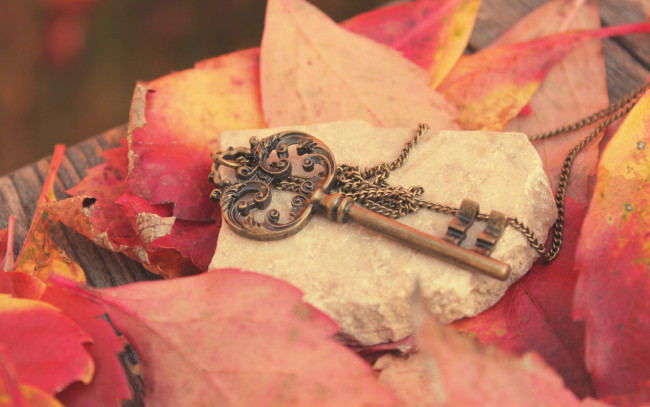 Обои картинки фото разное, ключи, замки, дверные, ручки, цепочка, камень, листья, ключ, осень