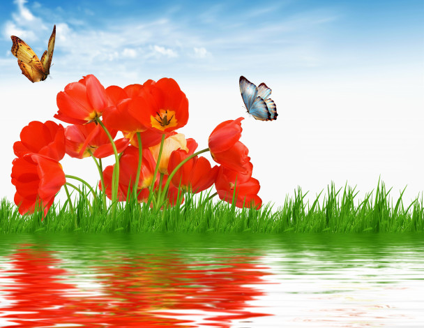 Обои картинки фото разное, компьютерный дизайн, тюльпаны, трава, бабочки, вода