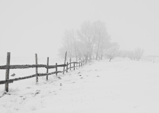 Картинка природа зима снег мороз метель дорога
